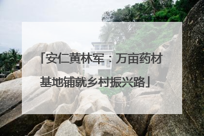 安仁黄林军：万亩药材基地铺就乡村振兴路