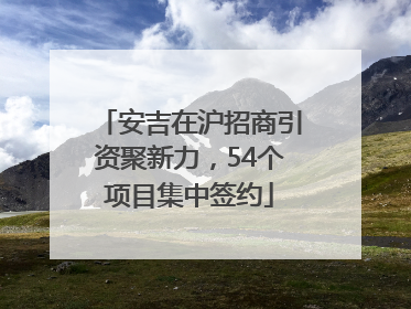 安吉在沪招商引资聚新力，54个项目集中签约