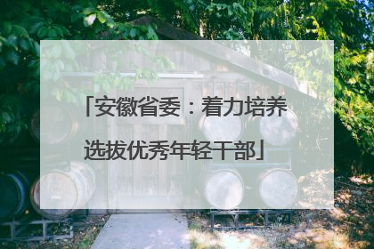 安徽省委：着力培养选拔优秀年轻干部