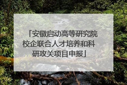 安徽启动高等研究院校企联合人才培养和科研攻关项目申报