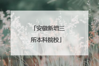 安徽新增三所本科院校
