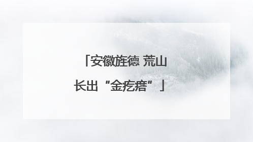 安徽旌德 荒山长出“金疙瘩”