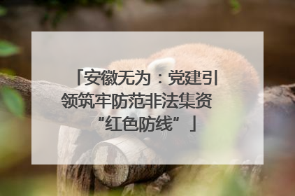 安徽无为：党建引领筑牢防范非法集资“红色防线”