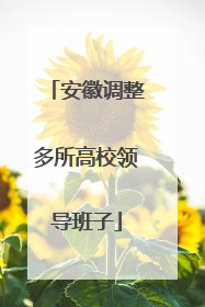 安徽调整多所高校领导班子