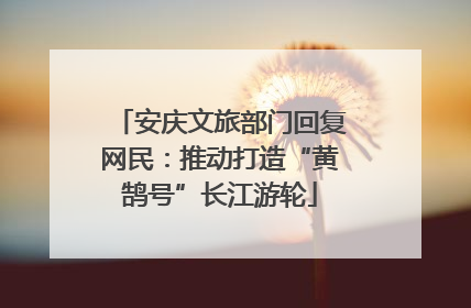 安庆文旅部门回复网民：推动打造“黄鹄号”长江游轮