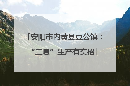 安阳市内黄县豆公镇：“三夏”生产有实招