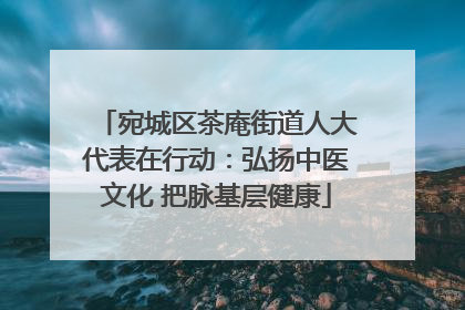 宛城区茶庵街道人大代表在行动：弘扬中医文化 把脉基层健康