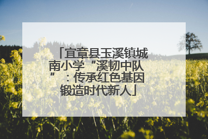 宜章县玉溪镇城南小学“溪韧中队”：传承红色基因 锻造时代新人
