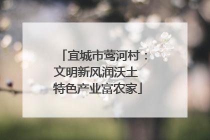 宜城市莺河村：文明新风润沃土 特色产业富农家