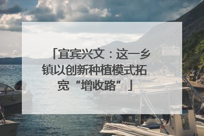 宜宾兴文：这一乡镇以创新种植模式拓宽“增收路”