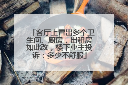 客厅上冒出多个卫生间、厨房，出租房如此改，楼下业主投诉：多少不舒服