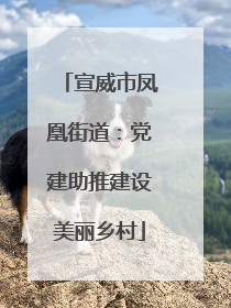 宣威市凤凰街道：党建助推建设美丽乡村