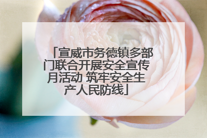 宣威市务德镇多部门联合开展安全宣传月活动 筑牢安全生产人民防线
