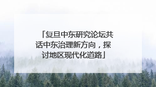 复旦中东研究论坛共话中东治理新方向，探讨地区现代化道路