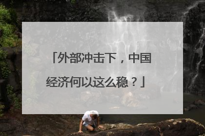 外部冲击下，中国经济何以这么稳？