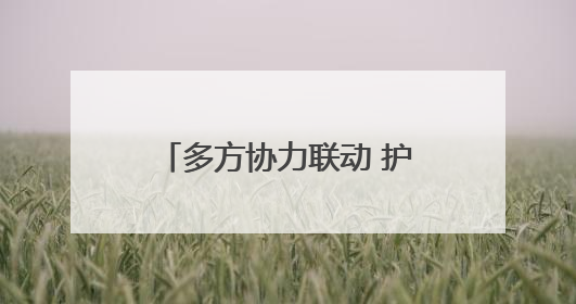 多方协力联动 护航外贸企业拓内销