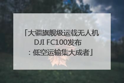 大疆旗舰级运载无人机DJI FC100发布：低空运输集大成者