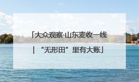 大众观察·山东麦收一线｜“无形田”里有大账