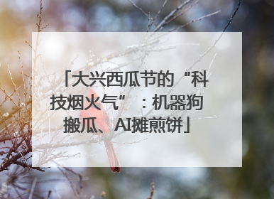 大兴西瓜节的“科技烟火气”：机器狗搬瓜、AI摊煎饼