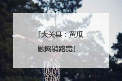大关县：黄瓜触网销路宽