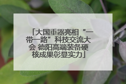 大国重器亮相“一带一路”科技交流大会 德阳高端装备硬核成果彰显实力