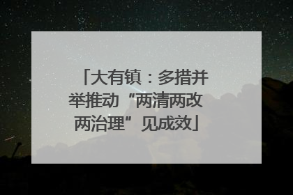 大有镇：多措并举推动“两清两改两治理”见成效