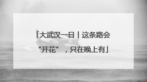 大武汉一日丨这条路会“开花”，只在晚上有