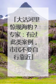 大沽河里惊现海豹？专家：有过此类案例，市民不要自行靠近