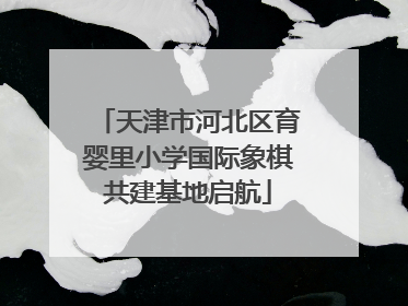 天津市河北区育婴里小学国际象棋共建基地启航