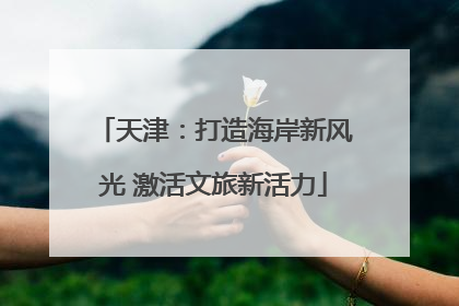 天津：打造海岸新风光 激活文旅新活力