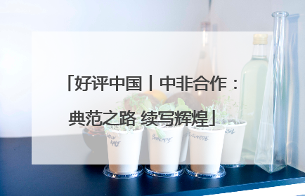 好评中国丨中非合作：典范之路 续写辉煌