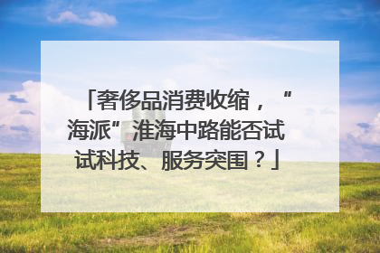 奢侈品消费收缩，“海派”淮海中路能否试试科技、服务突围？