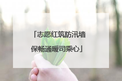 志愿红筑防汛墙 保畅通暖司乘心