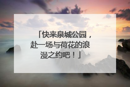 快来泉城公园，赴一场与荷花的浪漫之约吧！