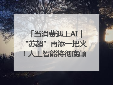 当消费遇上AI｜“苏超”再添一把火！人工智能将彻底颠覆绿茵场？