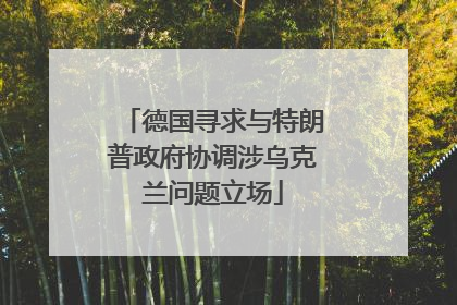 德国寻求与特朗普政府协调涉乌克兰问题立场
