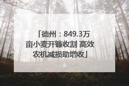 德州：849.3万亩小麦开镰收割 高效农机减损助增收