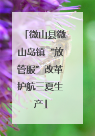 微山县微山岛镇“放管服”改革护航三夏生产
