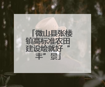 微山县张楼镇高标准农田建设绘就好“丰”景