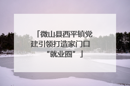 微山县西平镇党建引领打造家门口“就业圈”