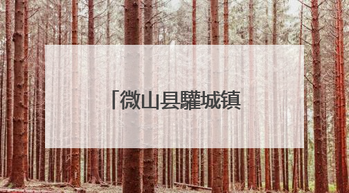 微山县驩城镇三夏生产跑出 “加速度”
