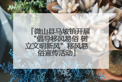 微山县马坡镇开展“倡导移风易俗 树立文明新风”移风易俗宣传活动