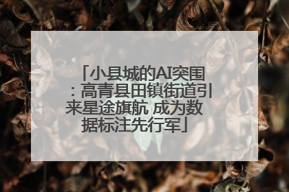 小县城的AI突围：高青县田镇街道引来星途旗航 成为数据标注先行军