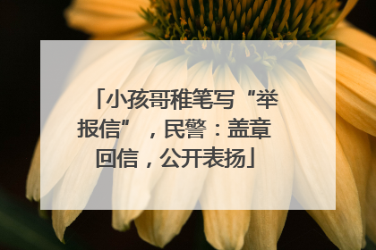 小孩哥稚笔写“举报信”，民警：盖章回信，公开表扬