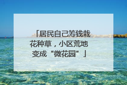 居民自己筹钱栽花种草，小区荒地变成“微花园”