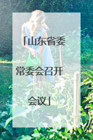 山东省委常委会召开会议