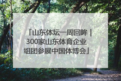 山东体坛一周回眸｜300家山东体育企业组团参展中国体博会