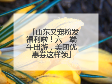 山东又宠粉发福利啦！六一端午出游，美团优惠券这样领