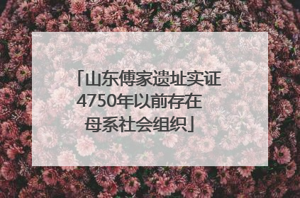 山东傅家遗址实证4750年以前存在母系社会组织