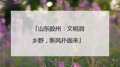 山东胶州：文明润乡野，新风扑面来